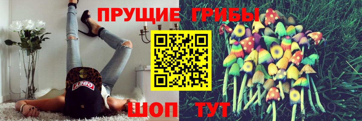 Галлюциногенные грибы прущие грибы Аксай